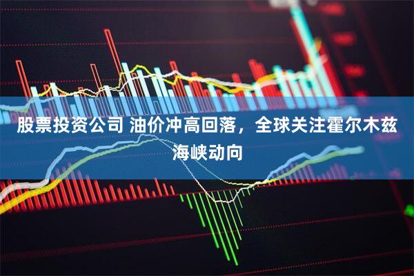 股票投资公司 油价冲高回落，全球关注霍尔木兹海峡动向