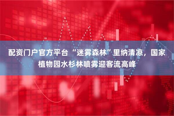 配资门户官方平台 “迷雾森林”里纳清凉，国家植物园水杉林喷雾迎客流高峰